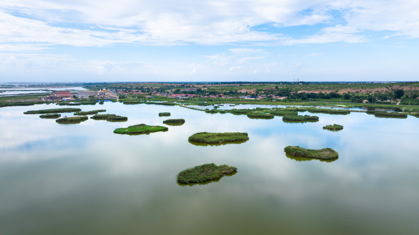 航拍視角下的托克托縣南湖，碧水之上，一簇簇茂盛的蘆葦蕩隨風搖曳，點綴出濕地的盎然生機。張瑋攝