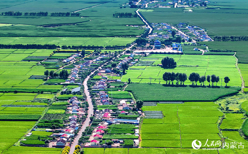 在興安盟扎賚特旗好力保鎮五道河子村，稻田與民居構成一幅美麗的田園畫卷。王正攝