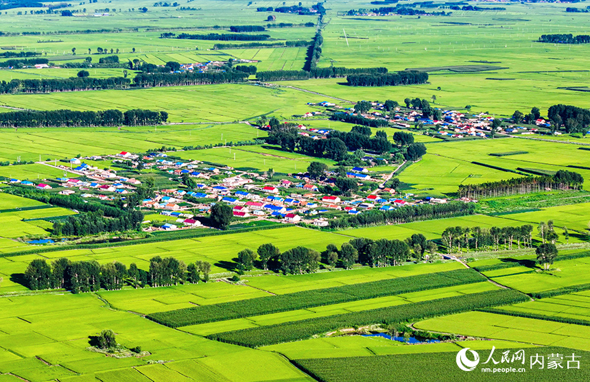在興安盟扎賚特旗好力保鎮寶泉村，稻田與民居構成一幅美麗的田園畫卷。王正攝