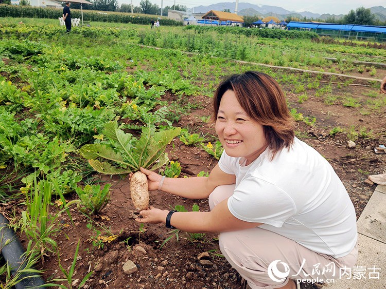 当地村民体验采摘。实习生 秦语睿摄