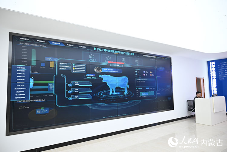 屏幕中展示了花吐古拉鎮居民白巴根那養殖肉牛的相關數據。人民網記者 劉藝琳攝