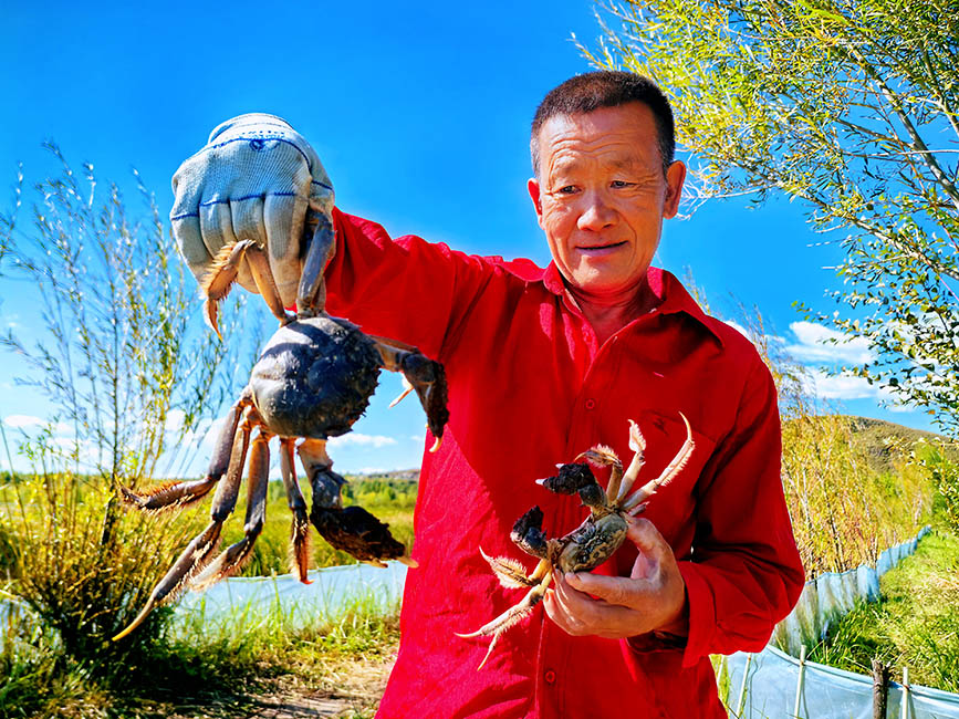 河蟹喜获丰收