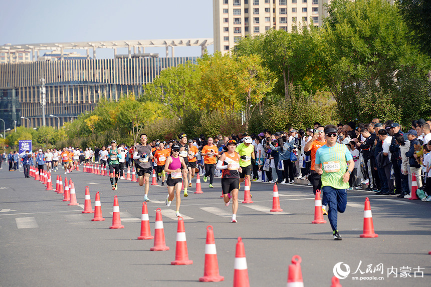比赛现场。人民网记者 张雪冬摄