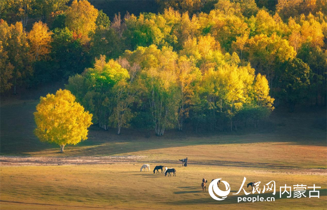 烏蘭布統草原。自治區文旅廳供圖