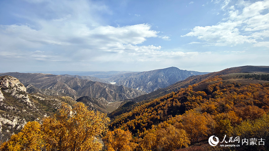 武川县哈达门景区中的美丽秋景。人民网记者 张雪冬摄