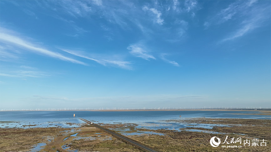 曾经“片片盐碱白茫茫”的荒芜如今焕新颜。郑中辉摄