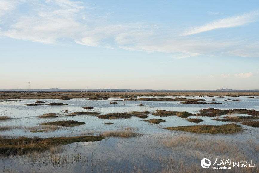 商都察汗淖尔国家湿地公园的秋景。人民网记者 苗阳摄
