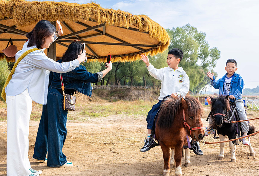 10月4日，呼和浩特市玉泉区林下郊野萌宠乐园，小朋友骑矮马游览。丁根厚摄