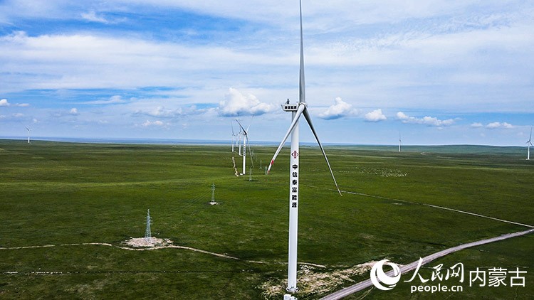 泰富1000MW風電項目現場。受訪者供圖