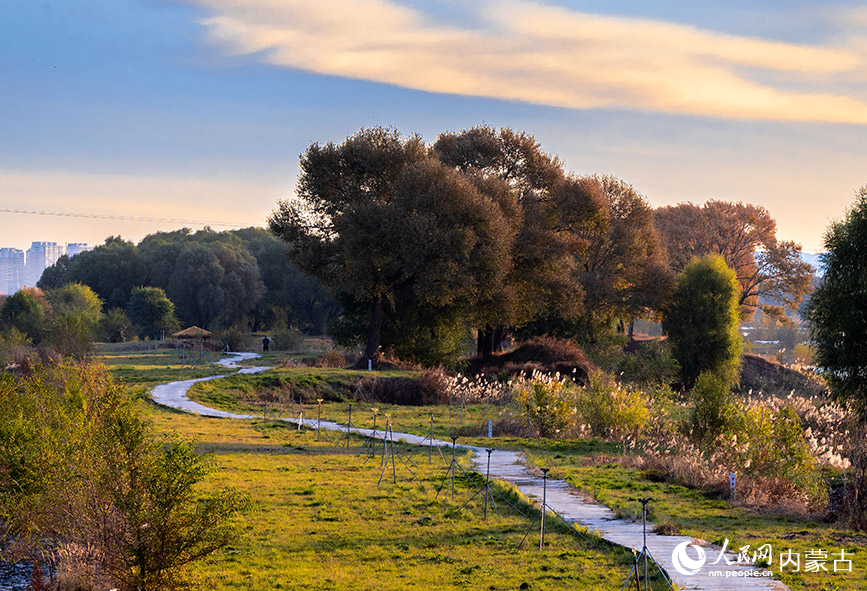 10月20日，呼和浩特市玉泉区大黑河郊野公园秋意正浓、景美如画。丁根厚摄