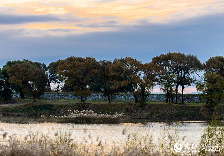10月20日，呼和浩特市玉泉区大黑河郊野公园秋意正浓、景美如画。丁根厚摄