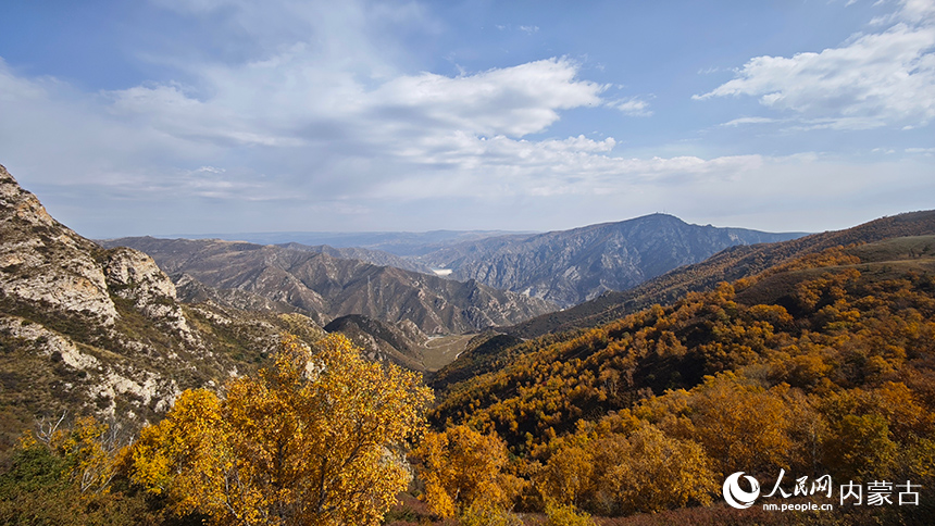 哈达门国家森林公园秋景。人民网记者 张雪冬摄