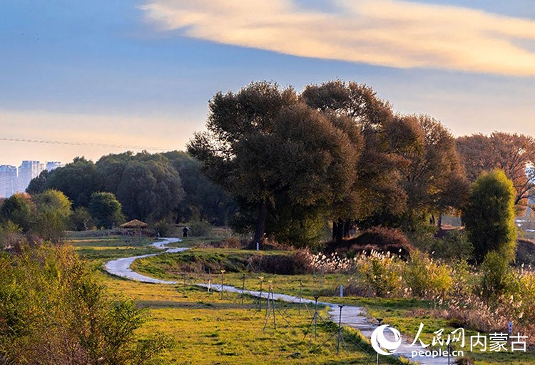 呼和浩特市大黑河郊野公園秋意正濃、景美如畫。丁根厚攝