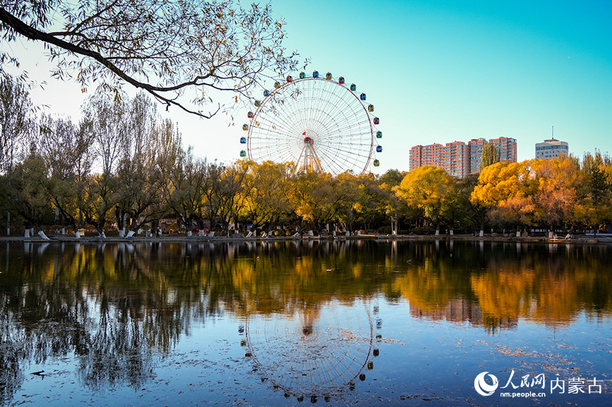 呼和浩特市青城公园秋色宜人。实习生 牛佳摄