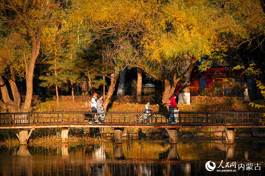 呼和浩特市青城公园秋色宜人。实习生 牛佳摄