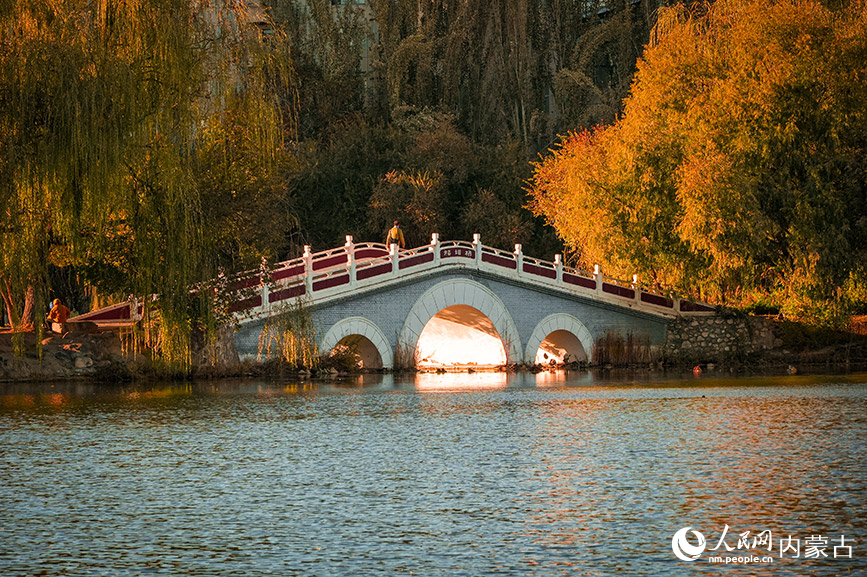 呼和浩特市青城公园秋色宜人。实习生 牛佳摄