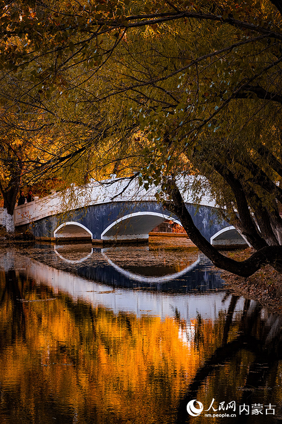 呼和浩特市青城公园秋色宜人。实习生 牛佳摄