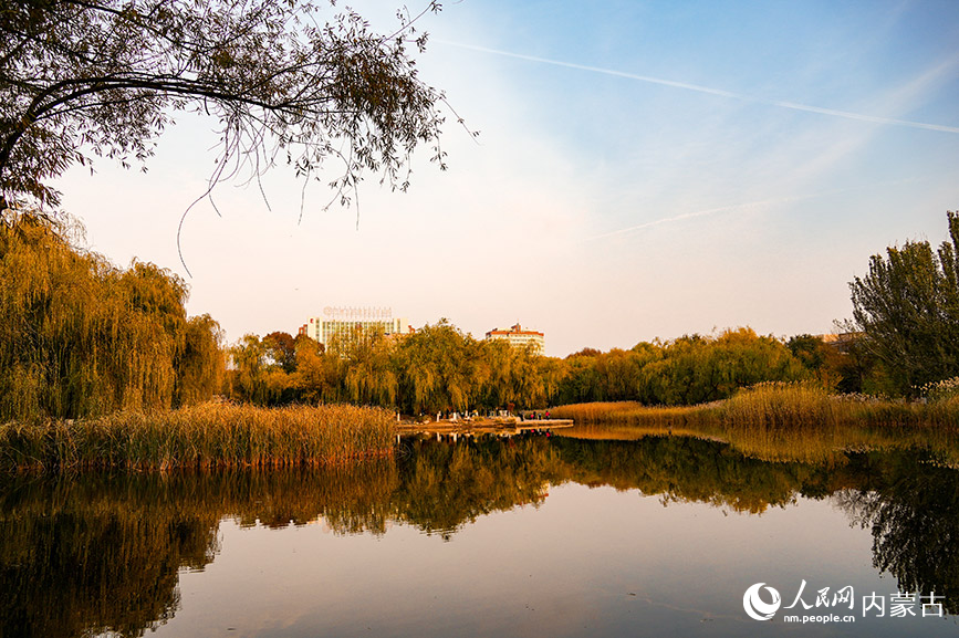 呼和浩特市满都海公园秋色宜人。实习生 牛佳摄