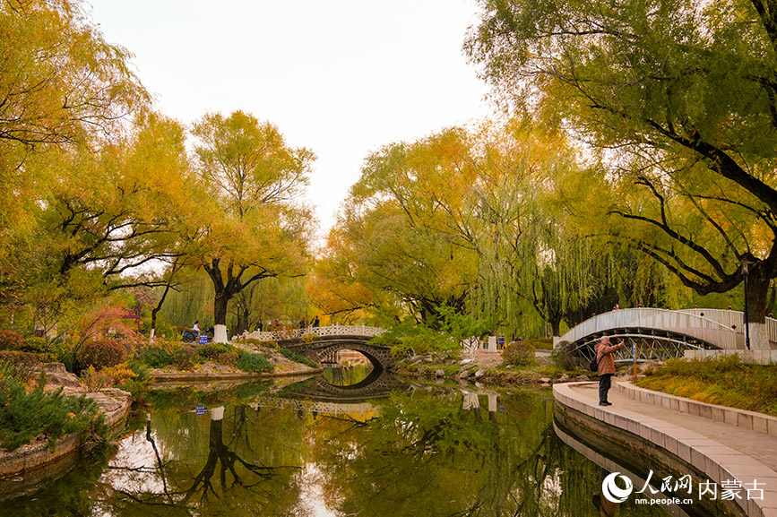 呼和浩特市满都海公园秋色宜人。实习生 牛佳摄