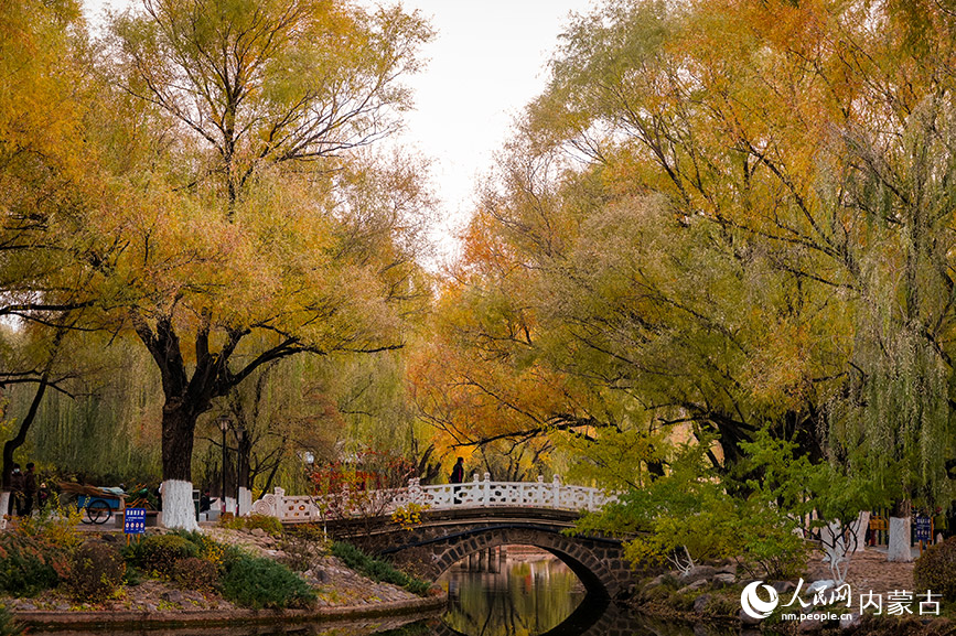 呼和浩特市满都海公园秋色宜人。实习生 牛佳摄