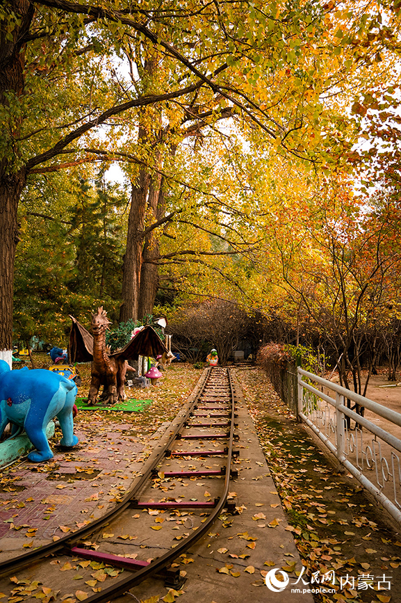 呼和浩特市满都海公园秋色宜人。实习生 牛佳摄
