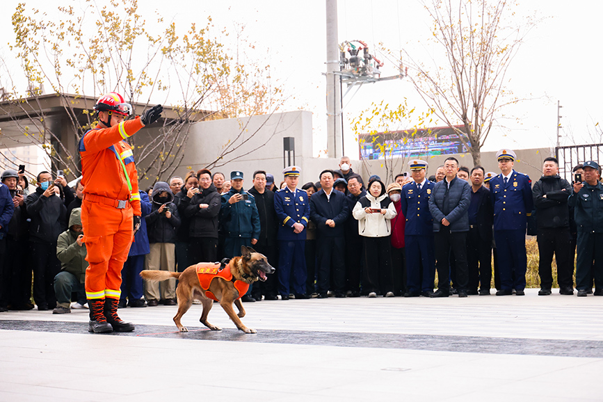 搜救犬訓練