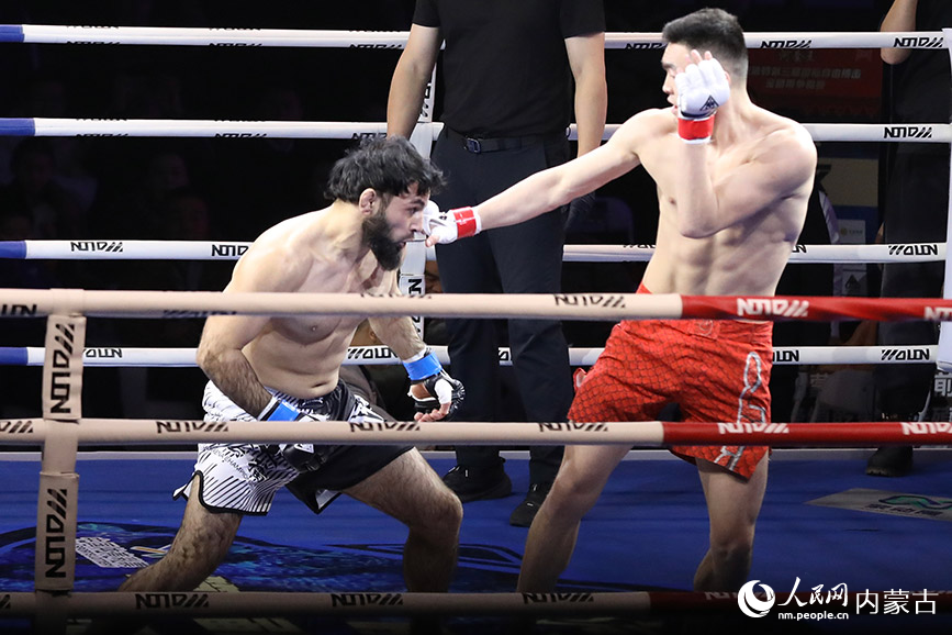 比赛现场。人民网记者 齐浩男摄