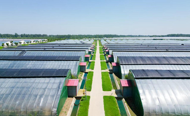 兴和县智慧产业园温室大棚