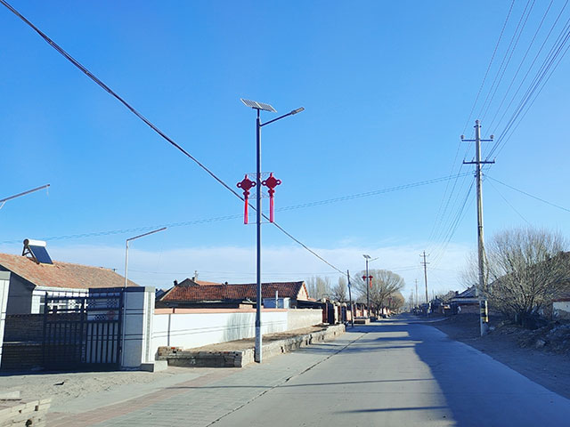 乡村道路整齐的路灯。李玉雷摄