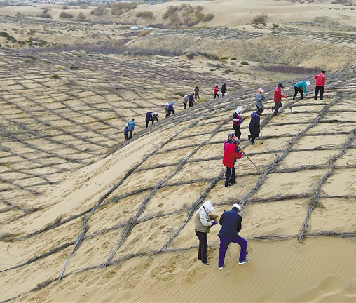 治沙一亩 致富一方