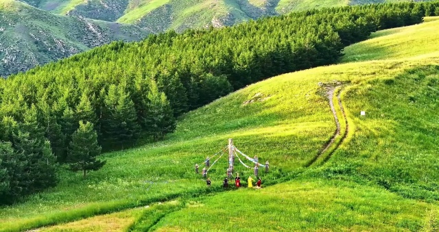 哈達門高山草原。