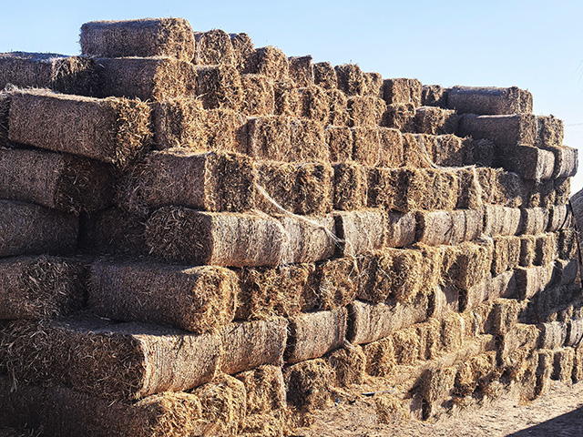码放整齐的饲草料。王晶摄