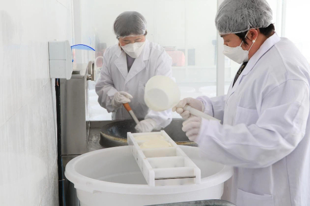 額勒順鎮賀慶嘎查烏仁他娜奶制品加工廠車間，工人們忙著趕制一批奶制品訂單。梅英攝