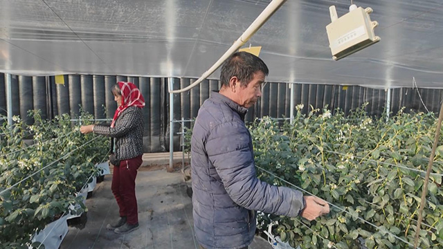 村民在家门口实现“种地+务工”双重收益。李庆华摄