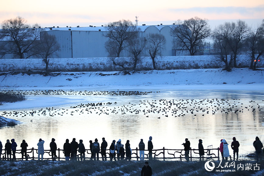 市民和游客观赏千岛湖美景。人民网记者 齐浩男摄