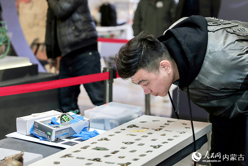 参观者驻足展品前，细细品味。实习生 牛佳摄