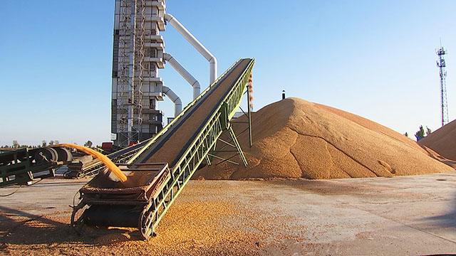 科左中旗粮食收购企业开足马力抢收秋粮。包卉摄