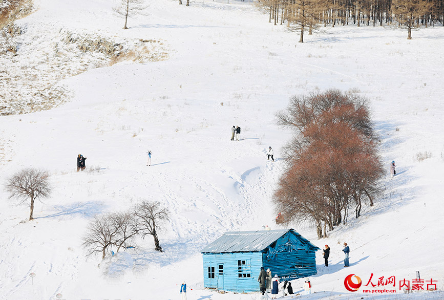 阿尔山国家森林公园。人民网记者 齐浩男摄
