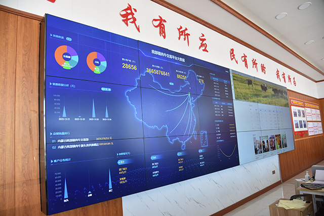 肉牛线上交易平台