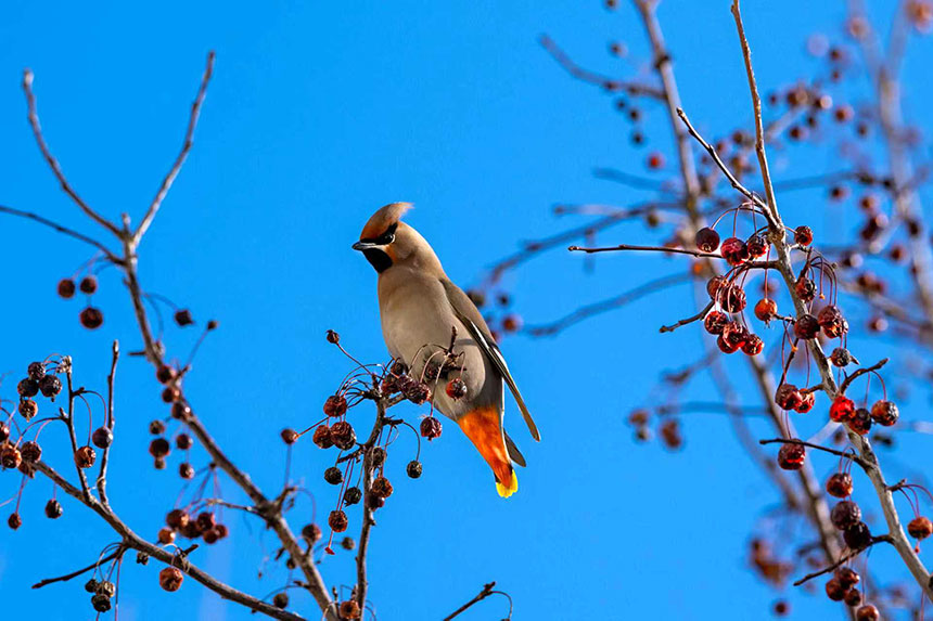 憨态可掬。刘万军摄
