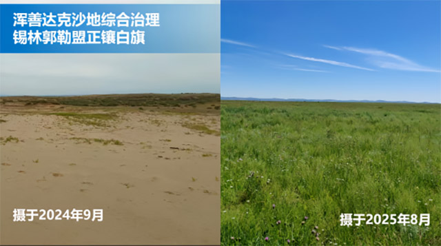 渾善達克沙地治理成效明顯。蒙草集團供圖