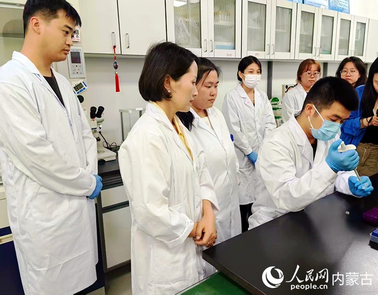 在內蒙古，有多家科研團隊致力於“育種芯片”的研究。這是內蒙古民族大學團隊正在測試“相牛1號10K液相育種芯片”。人民網記者 富麗娟攝