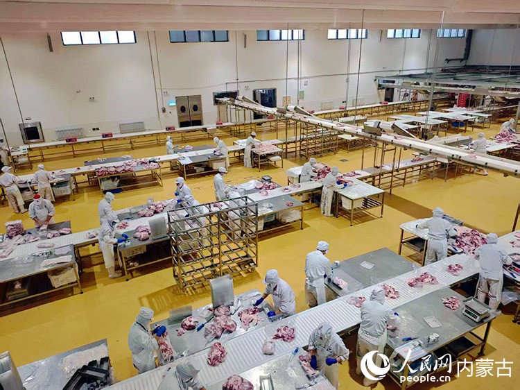 錫林郭勒肉羊生產加工車間內。人民網記者 劉藝琳攝
