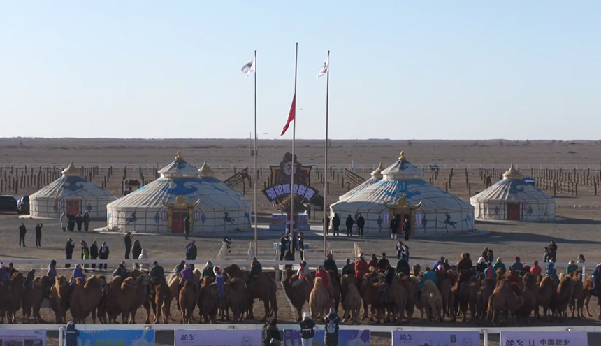 阿拉善駱駝超級聯賽第三場月賽在額濟納旗激情開賽。張春生攝