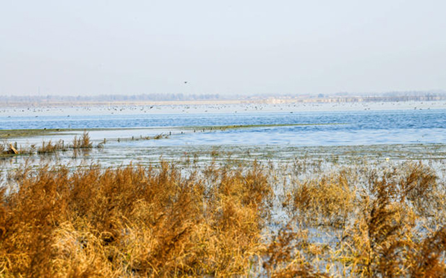 通过整合自然保护地、推行围封禁牧、疏浚河道沟渠等一系列举措,黄旗海水生态环境得到全面改善。 郭小燕摄
