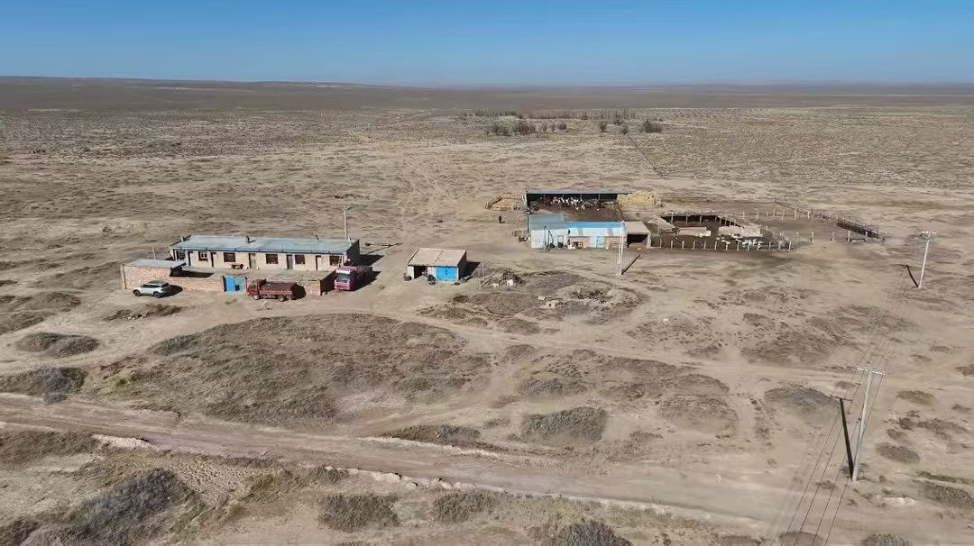阿拉善左旗溫都爾勒圖鎮扎哈道蘭嘎查。