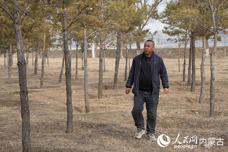 從村口的防護林到后山的灌木叢都在劉利軍的巡護范圍中。人民網記者 趙夢月攝