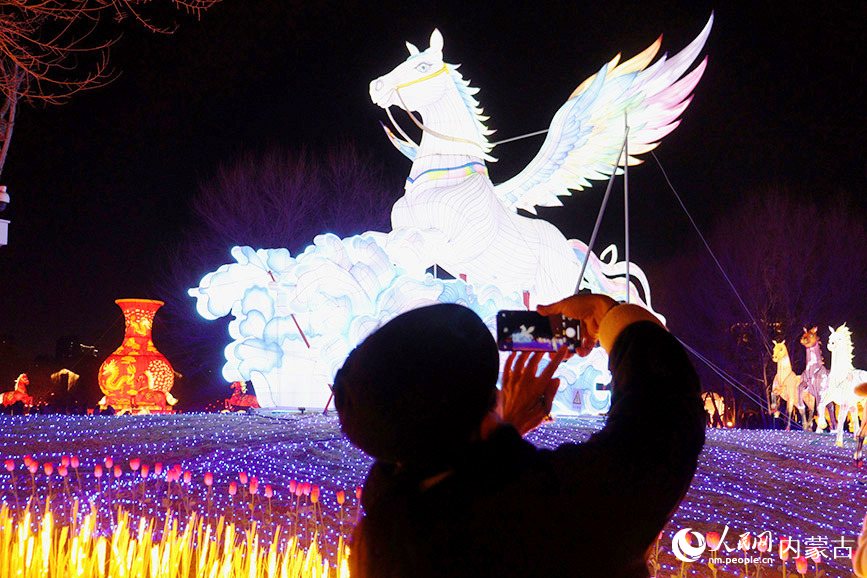 游客举起手机拍摄飞马花灯。实习生 张诗婕摄