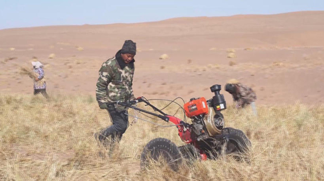 本巴图沙漠生态综合治理项目施工现场。张玉超摄