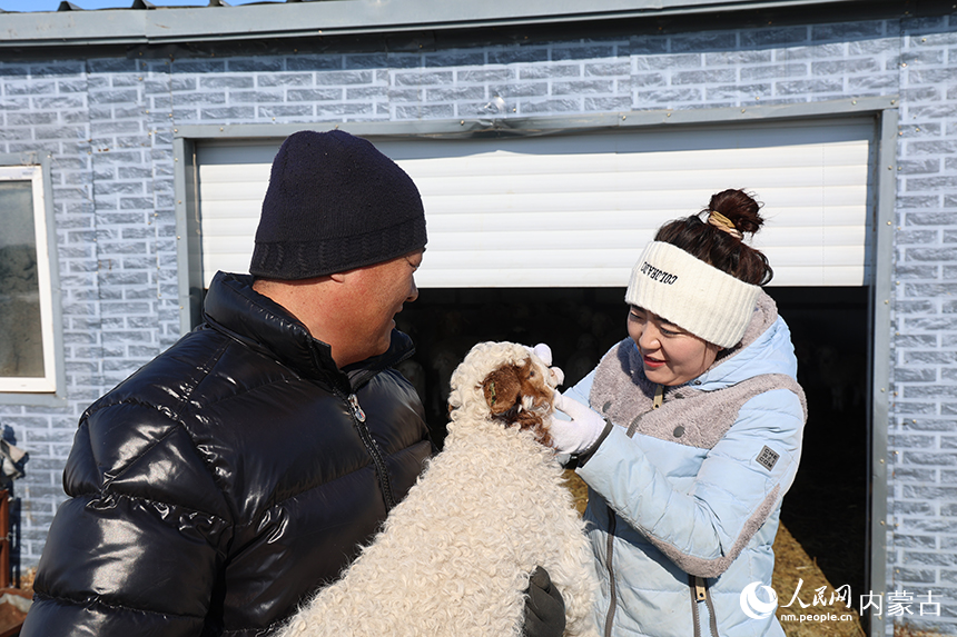 接春羔以来，苏仁陶格陶和艾美琳家每天都有“新成员”诞生。阿斯亚摄